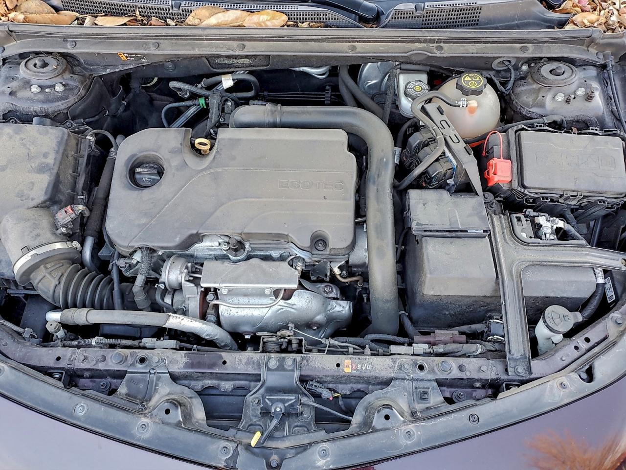 2021 Chevrolet Malibu Lt VIN: 1G1ZD5ST0MF007302 Lot: 93704325