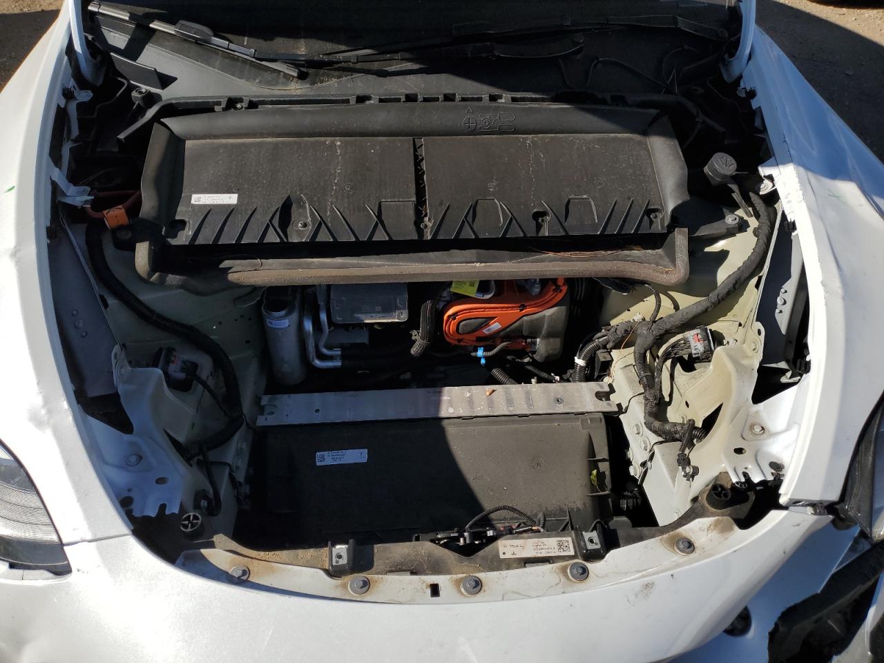 2024 Tesla Model Y VIN: 7SAYGDEE6RF029255 Lot: 91029415