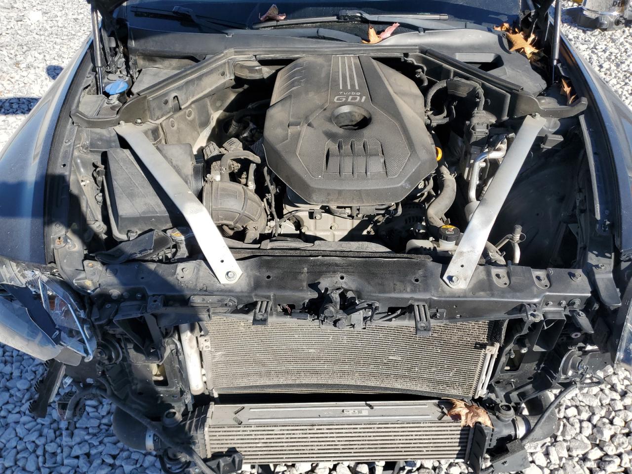 2018 Kia Stinger VIN: KNAE15LA1J6035131 Lot: 92852215