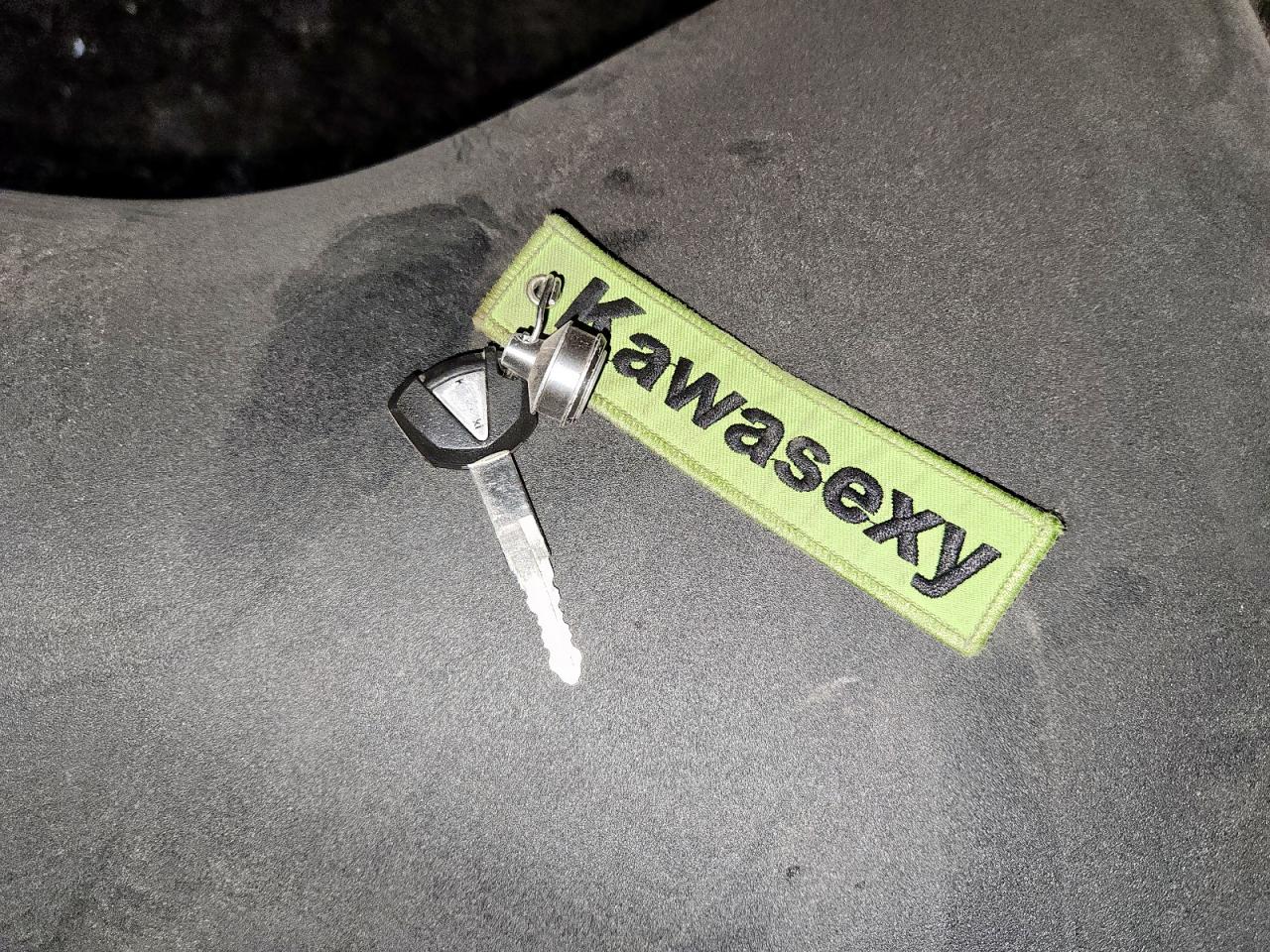 2021 Kawasaki Klz1000 D VIN: JKALZCD15MA008175 Lot: 93155765