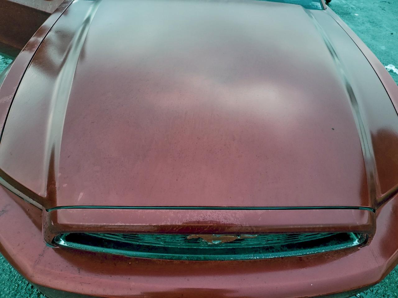 2013 Ford Mustang VIN: 1ZVBP8EM8D5204050 Lot: 52772145