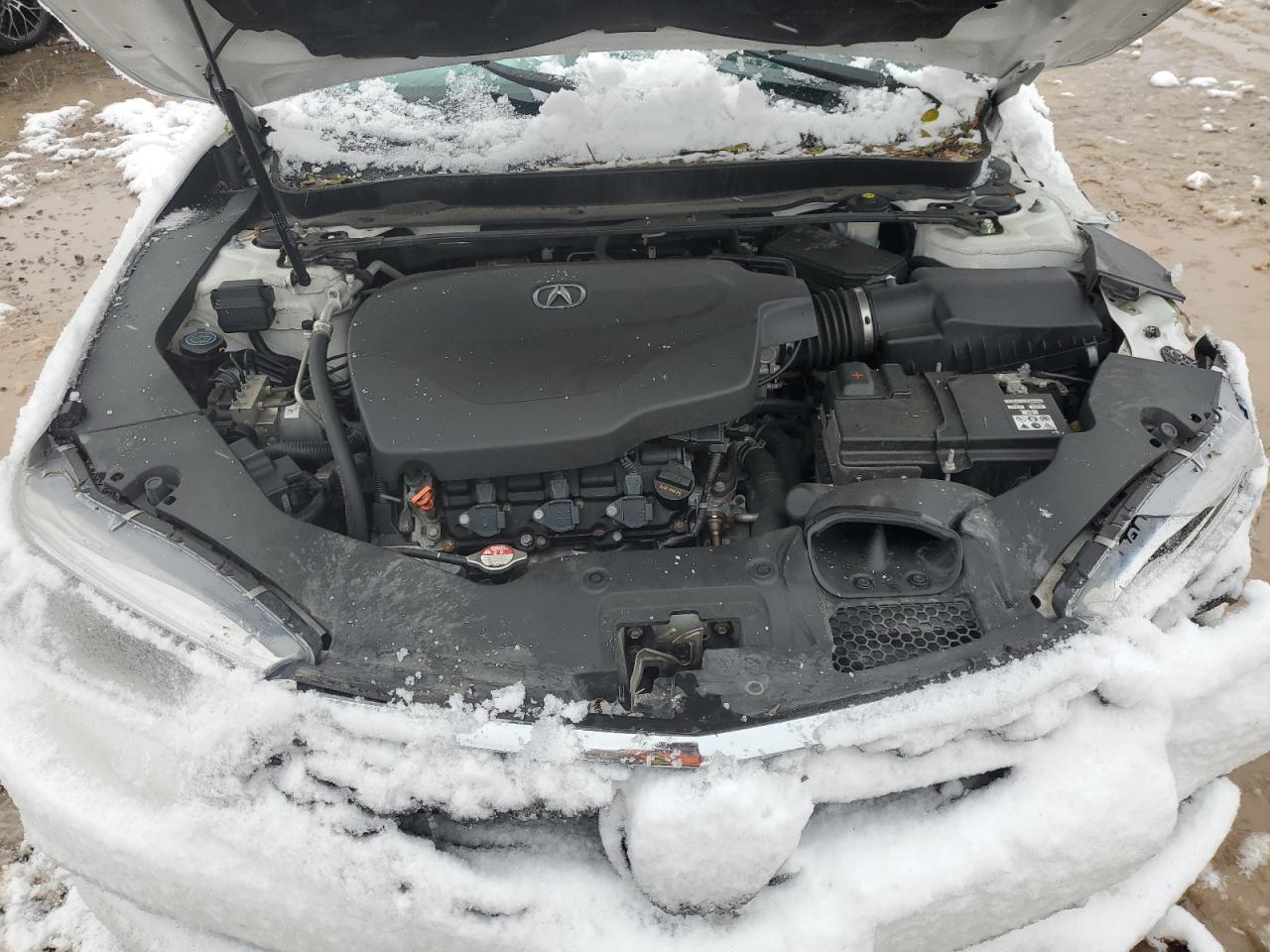 2020 Acura Tlx VIN: 19UUB2F3XLA001312 Lot: 92325825