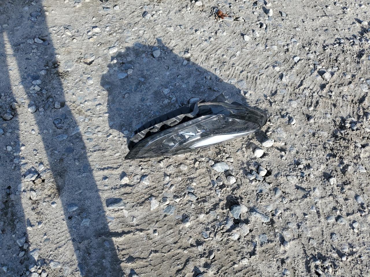 2023 Tesla Model Y VIN: 7SAYGDEE9PF847981 Lot: 92992665