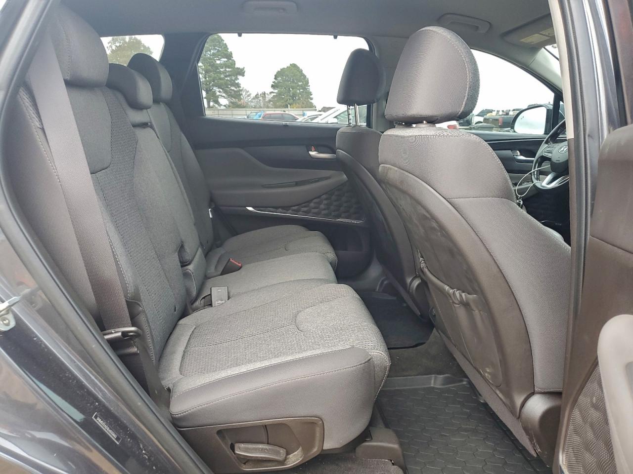 2020 Hyundai Santa Fe Sel VIN: 5NMS33AD3LH233443 Lot: 93215945