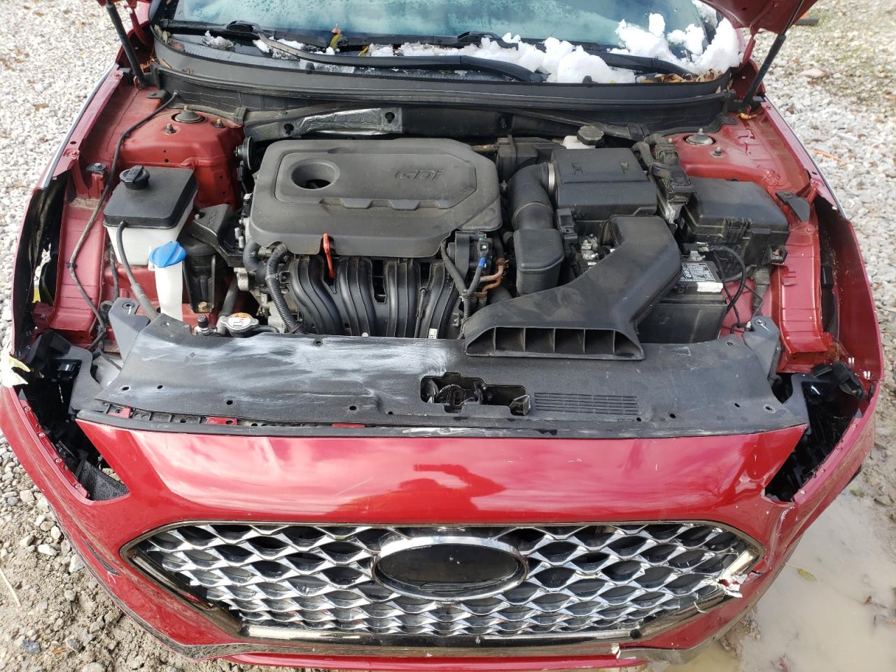 2019 Hyundai Sonata Limited VIN: 5NPE34AF7KH788482 Lot: 92036465