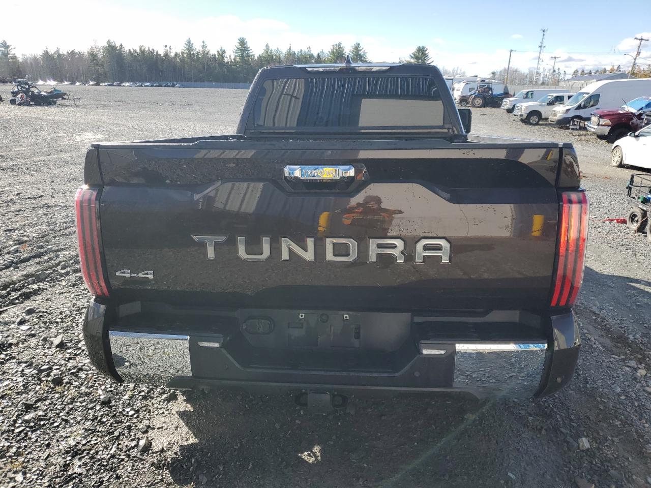 2022 Toyota Tundra Crewmax Platinum VIN: 5TFMA5ECXNX005168 Lot: 89866735