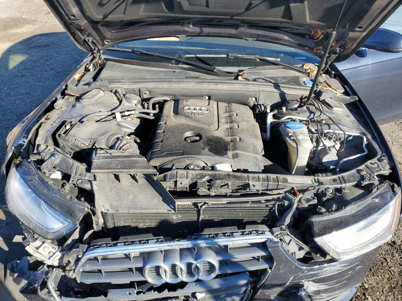 2013 Audi A4 Premium Plus VIN: WAUFFAFL8DN043684 Lot: 93127445