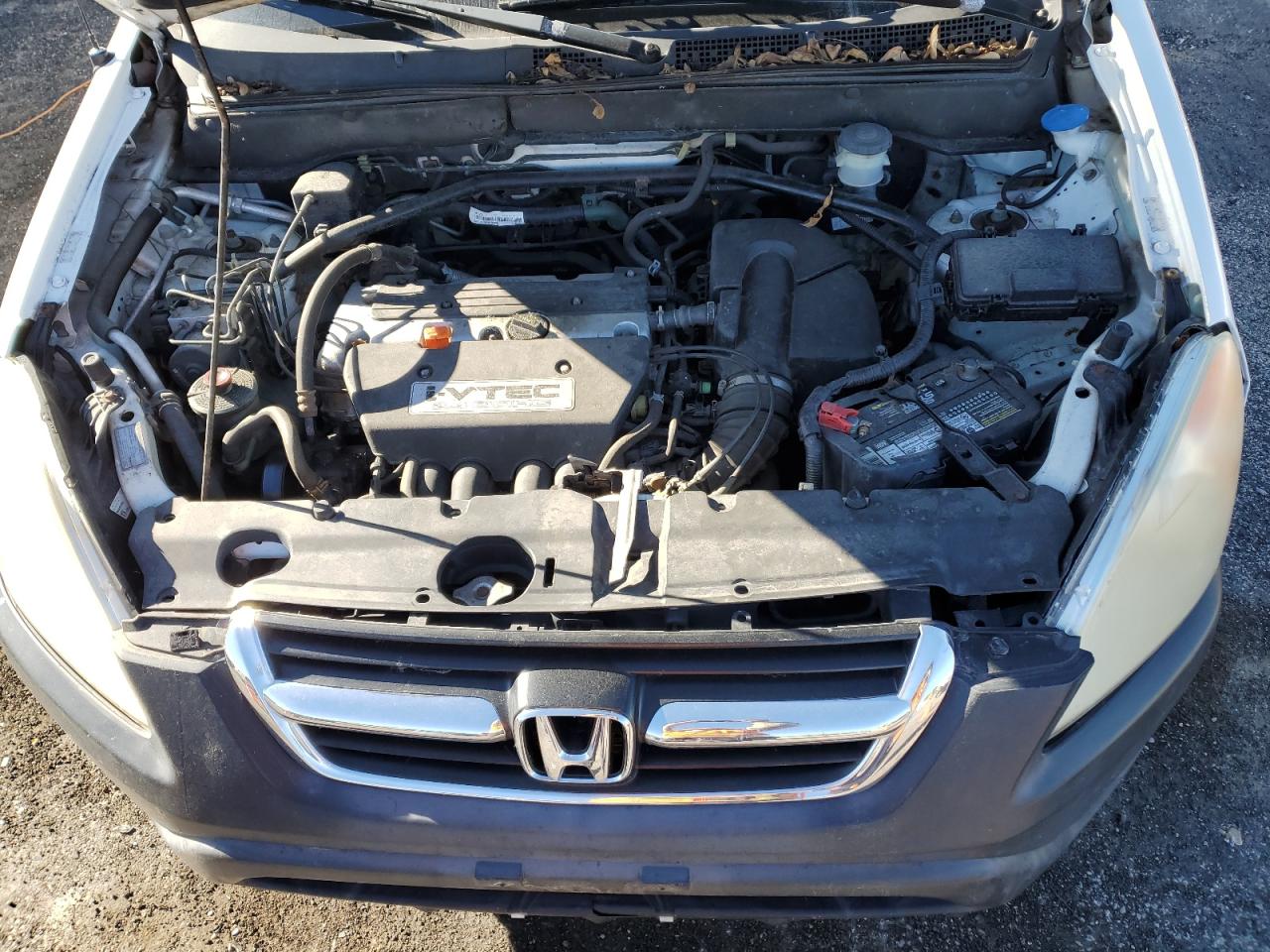 2004 Honda Cr-V Ex VIN: SHSRD78814U233173 Lot: 91647965