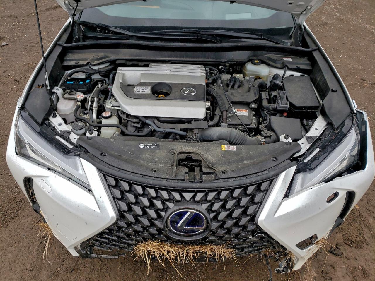 2021 Lexus Ux 250H VIN: JTHL9JBH4M2049707 Lot: 94263635