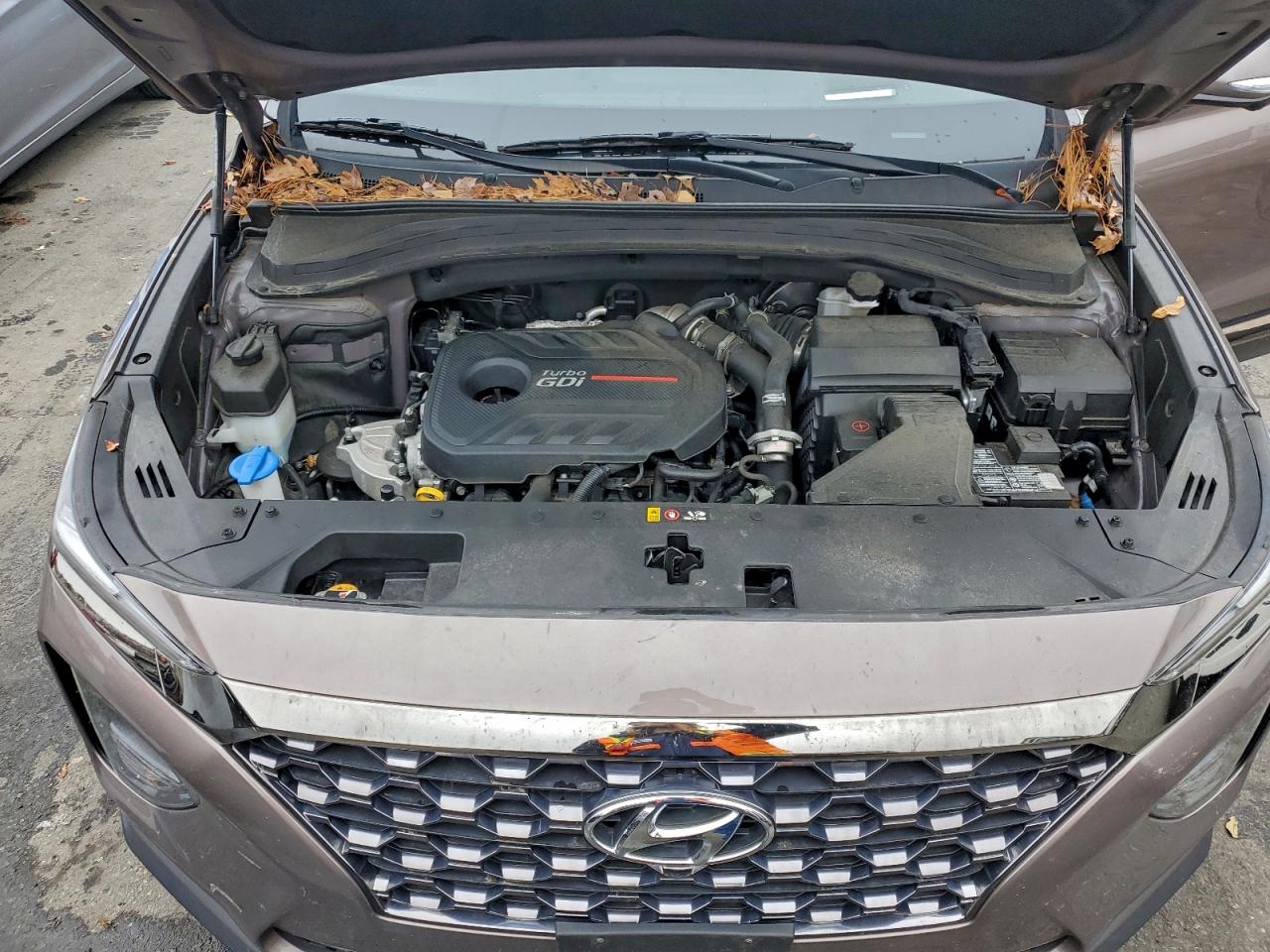 2020 Hyundai Santa Fe Limited VIN: 5NMS5CAA8LH261643 Lot: 93741275