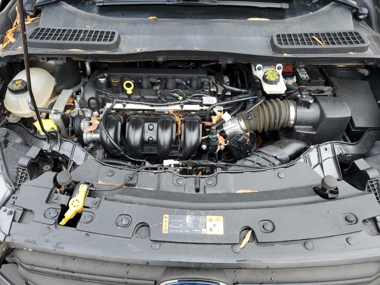 2019 Ford Escape S VIN: 1FMCU0F77KUC45116 Lot: 90611935