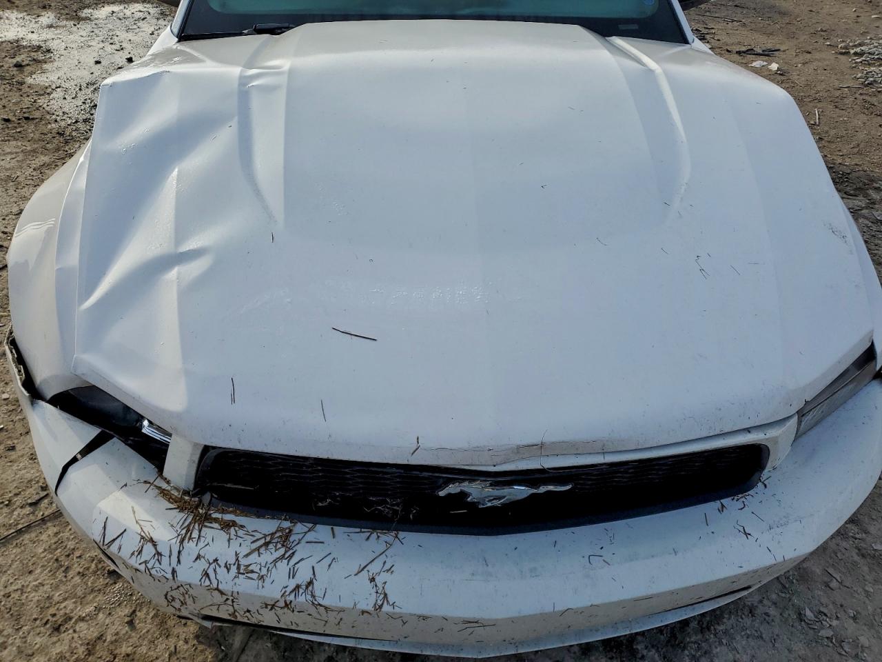 2010 Ford Mustang VIN: 1ZVBP8EN0A5171811 Lot: 93922335