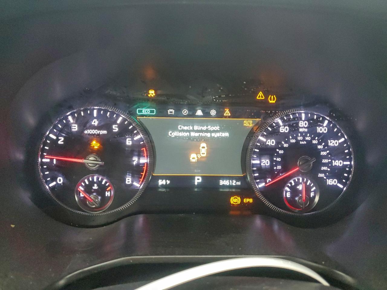 2021 Kia Telluride Sx VIN: 5XYP54HC7MG176646 Lot: 93391945