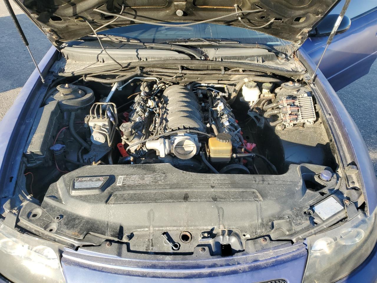 2006 Pontiac Gto VIN: 6G2VX12U46L816716 Lot: 92165255