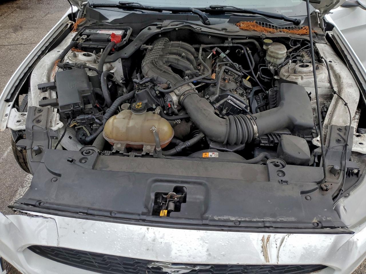 2017 Ford Mustang VIN: 1FA6P8AM4H5256975 Lot: 94328665