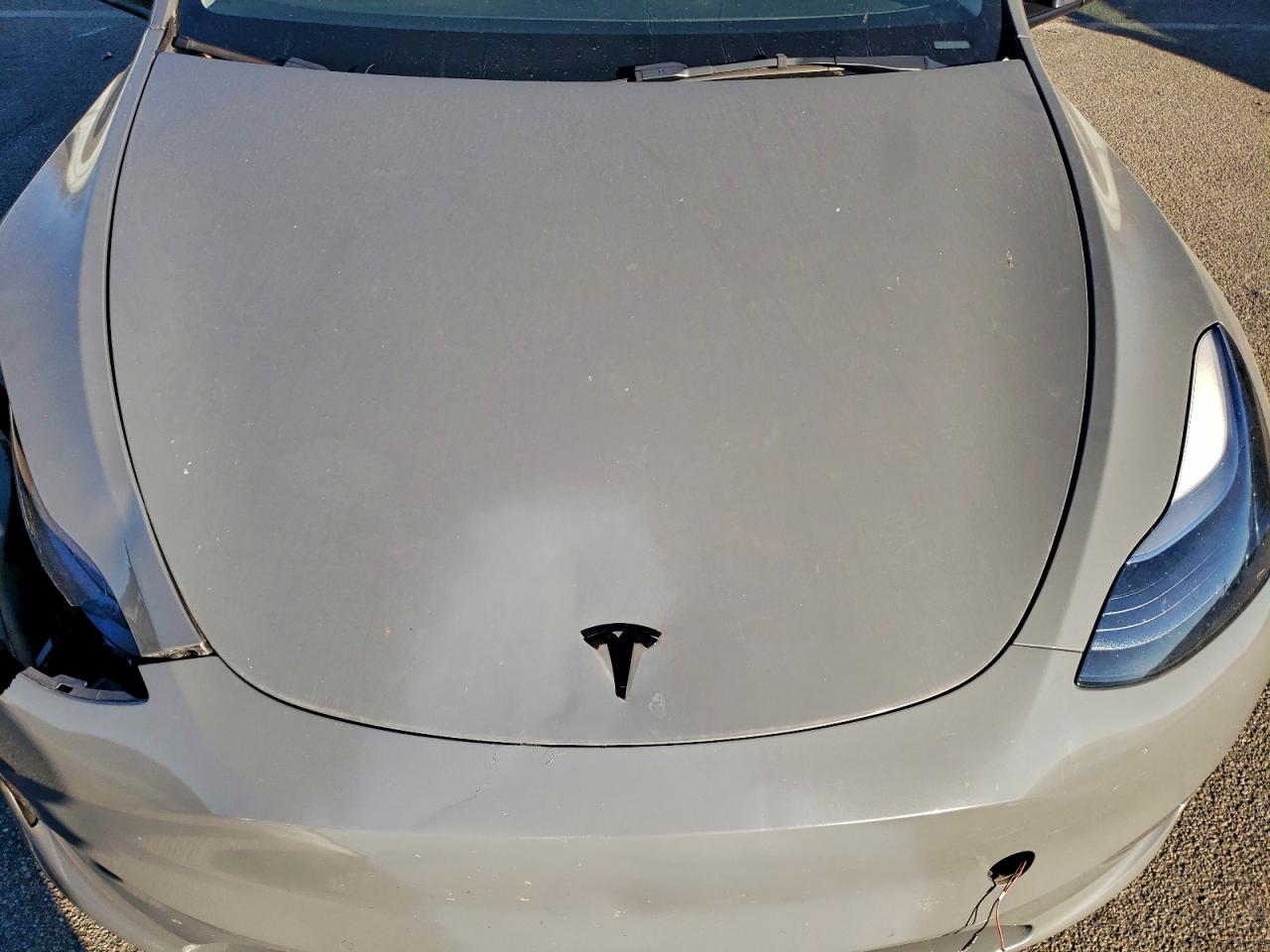 2022 Tesla Model Y VIN: 7SAYGDEE5NF562479 Lot: 93235945