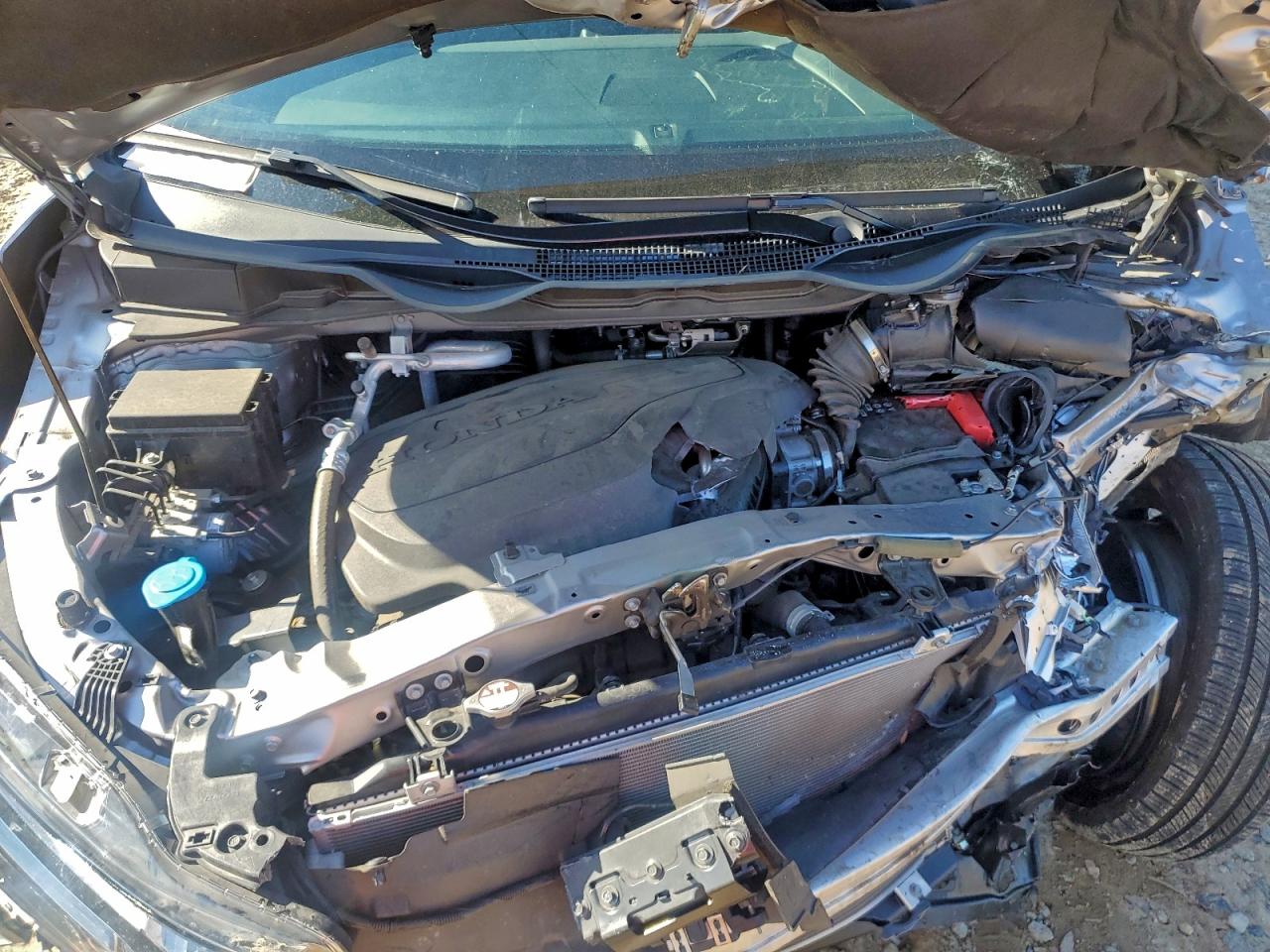 2022 Honda Odyssey Exl VIN: 5FNRL6H72NB030192 Lot: 94256455