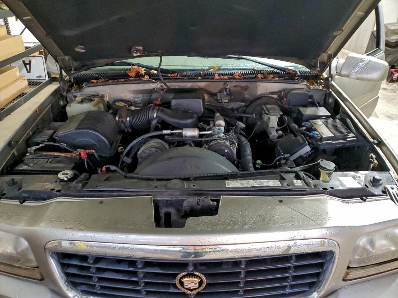 1999 Cadillac Escalade VIN: 1GYEK13R2XR418026 Lot: 92684575