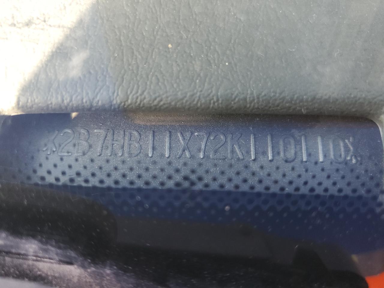 2002 Dodge Ram Van B1500 VIN: 2B7HB11X72K110110 Lot: 82077435