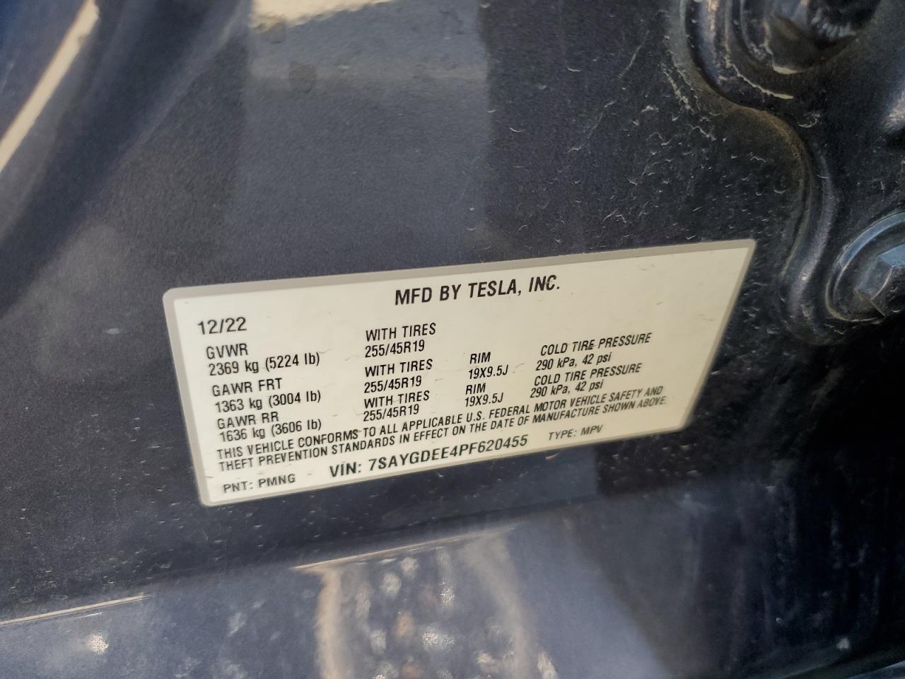 2023 Tesla Model Y VIN: 7SAYGDEE4PF620455 Lot: 92090655