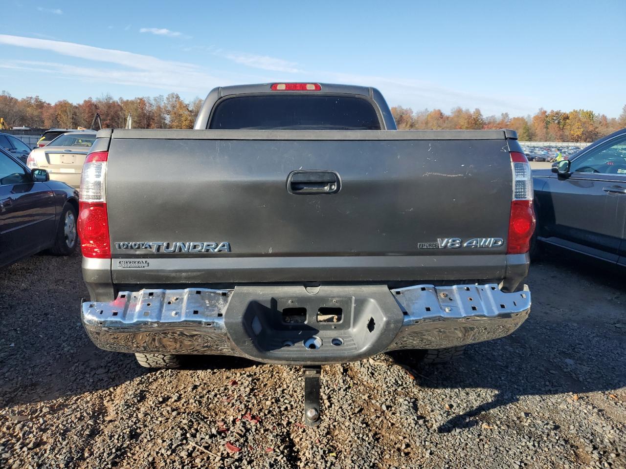 2006 Toyota Tundra Double Cab Sr5 VIN: 5TBDT44186S528385 Lot: 91065825