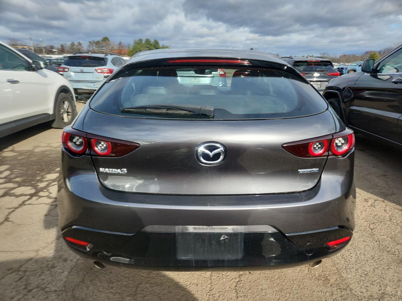 2020 Mazda 3 VIN: JM1BPALM3L1161451 Lot: 92095045