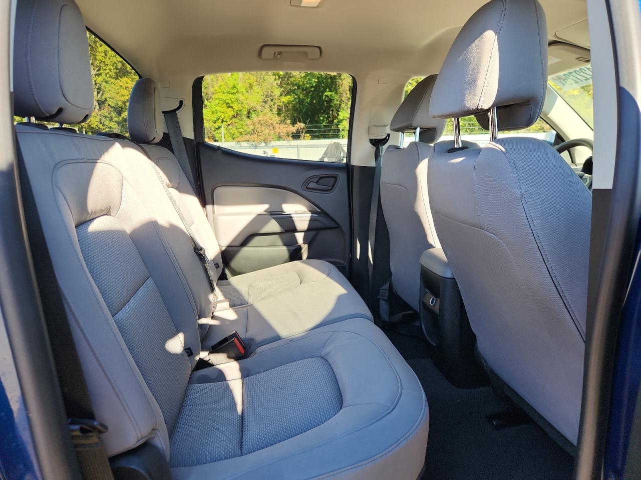 2019 Chevrolet Colorado VIN: 1GCGTBEN0K1237817 Lot: 91122725