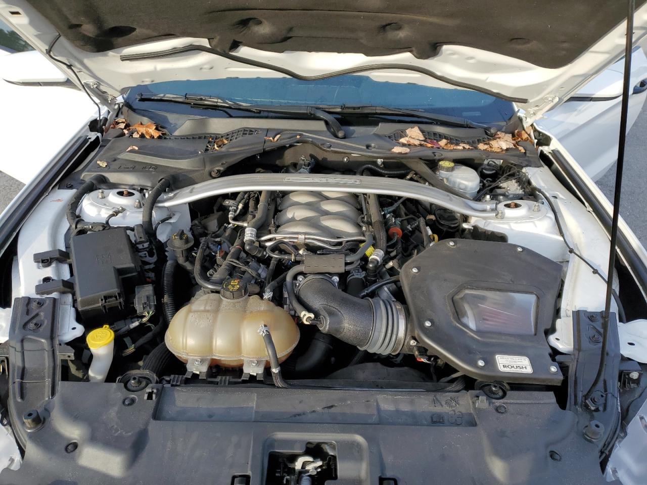 2019 Ford Mustang Gt VIN: 1FA6P8CF4K5111859 Lot: 91446005