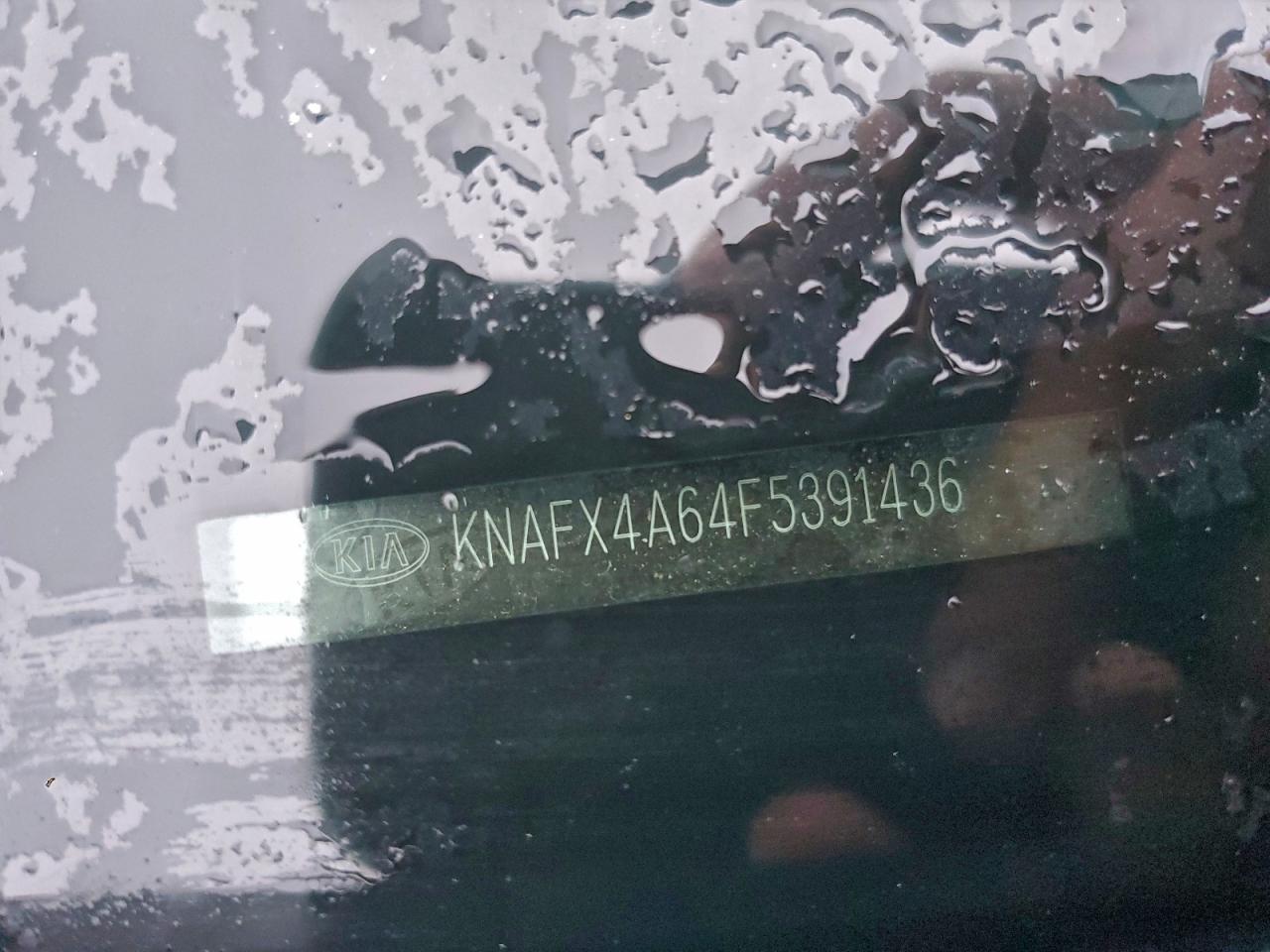 2015 Kia Forte Lx VIN: KNAFX4A64F5391436 Lot: 95709085