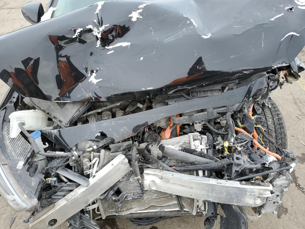 2019 Hyundai Ioniq VIN: KMHC65LD9KU182943 Lot: 92484395