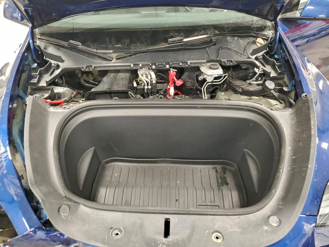 2024 Tesla Model Y VIN: 7SAYGDEE9RF088817 Lot: 94559095