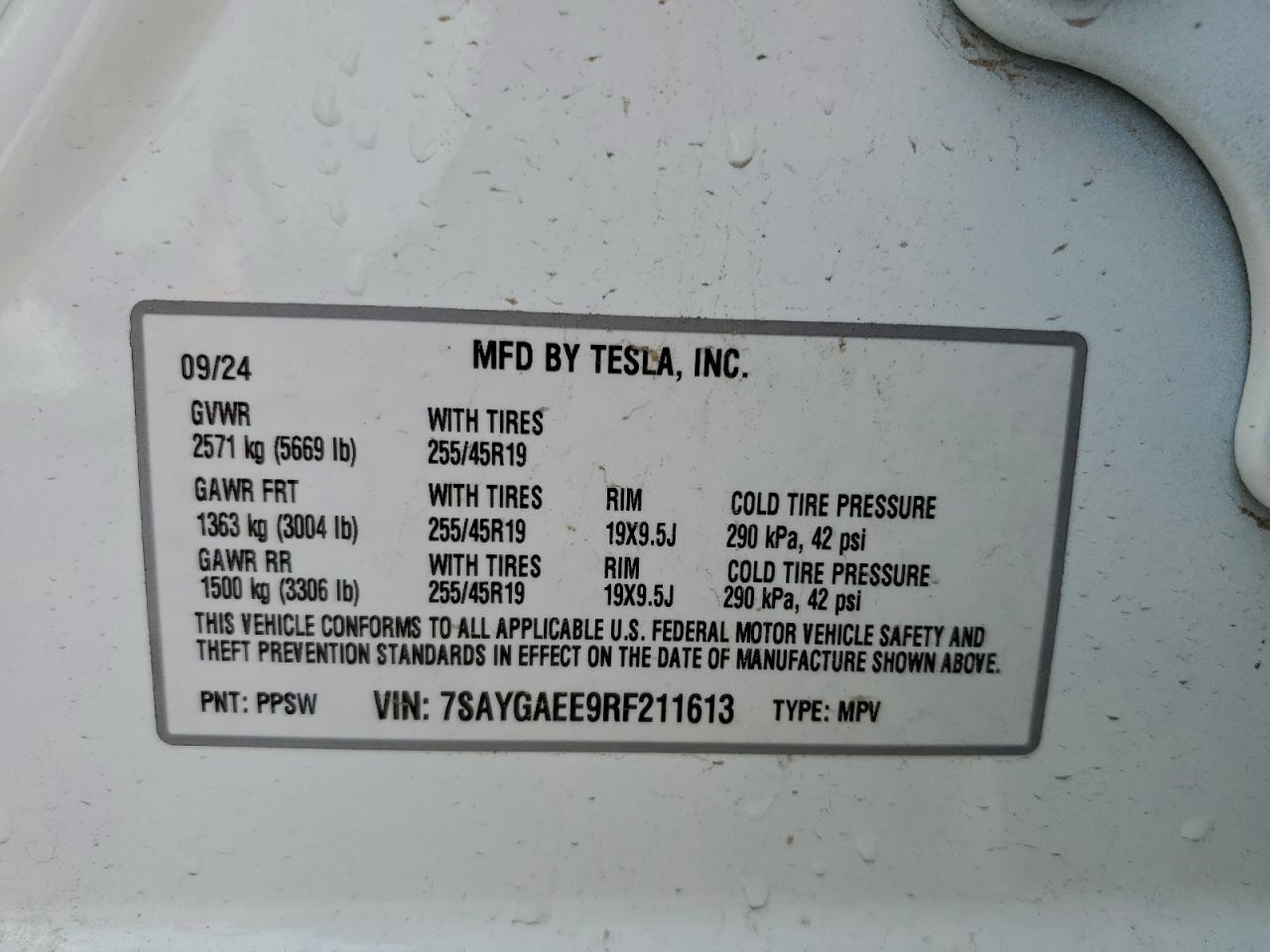 2024 Tesla Model Y VIN: 7SAYGAEE9RF211613 Lot: 93972545