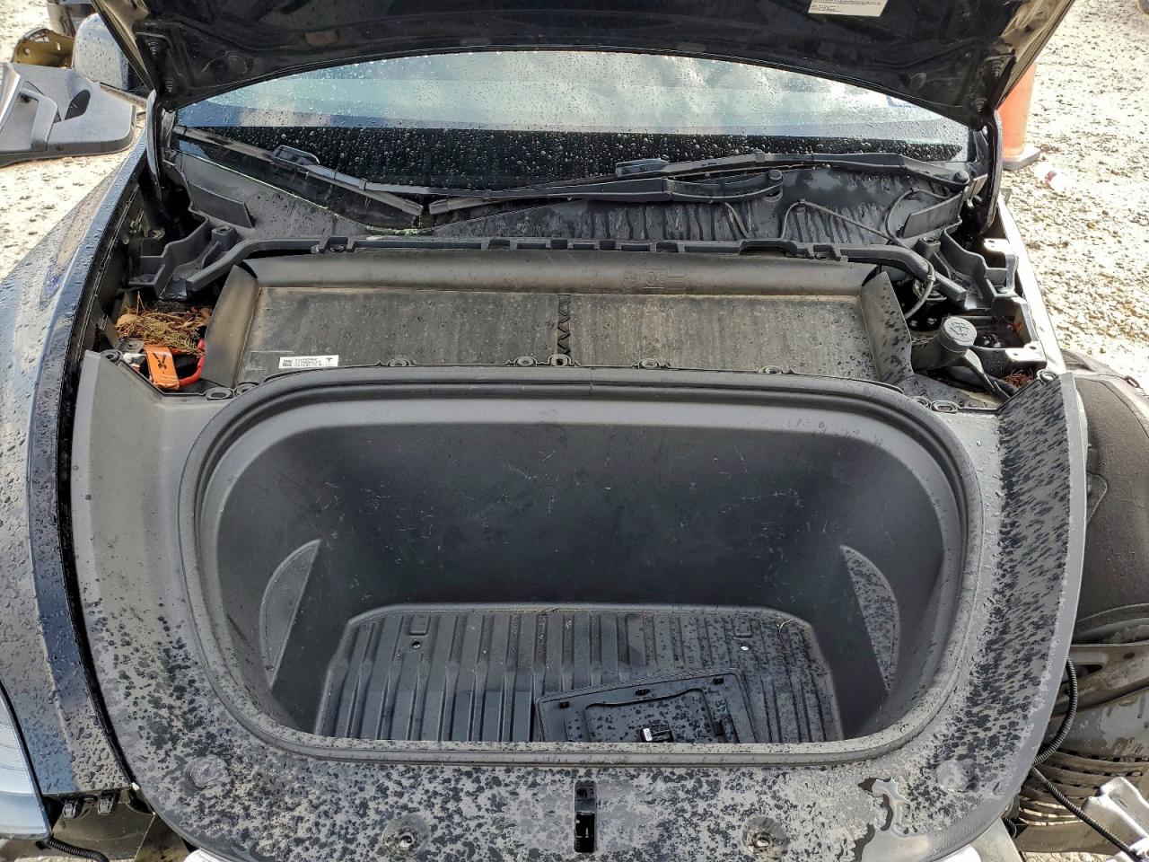 2023 Tesla Model Y VIN: 7SAYGDEF3PF926409 Lot: 93898905