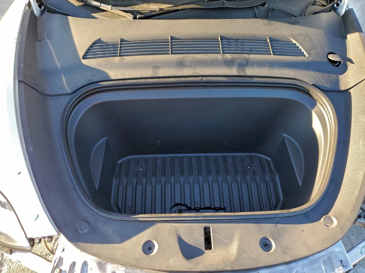 2023 Tesla Model Y VIN: 7SAYGDEE7PA116317 Lot: 94511685