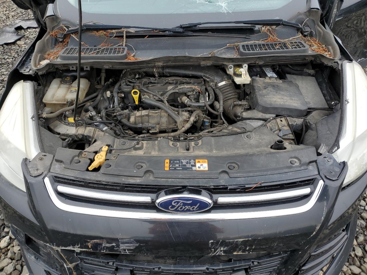 2013 Ford Escape Sel VIN: 1FMCU9HX1DUA13356 Lot: 93258495