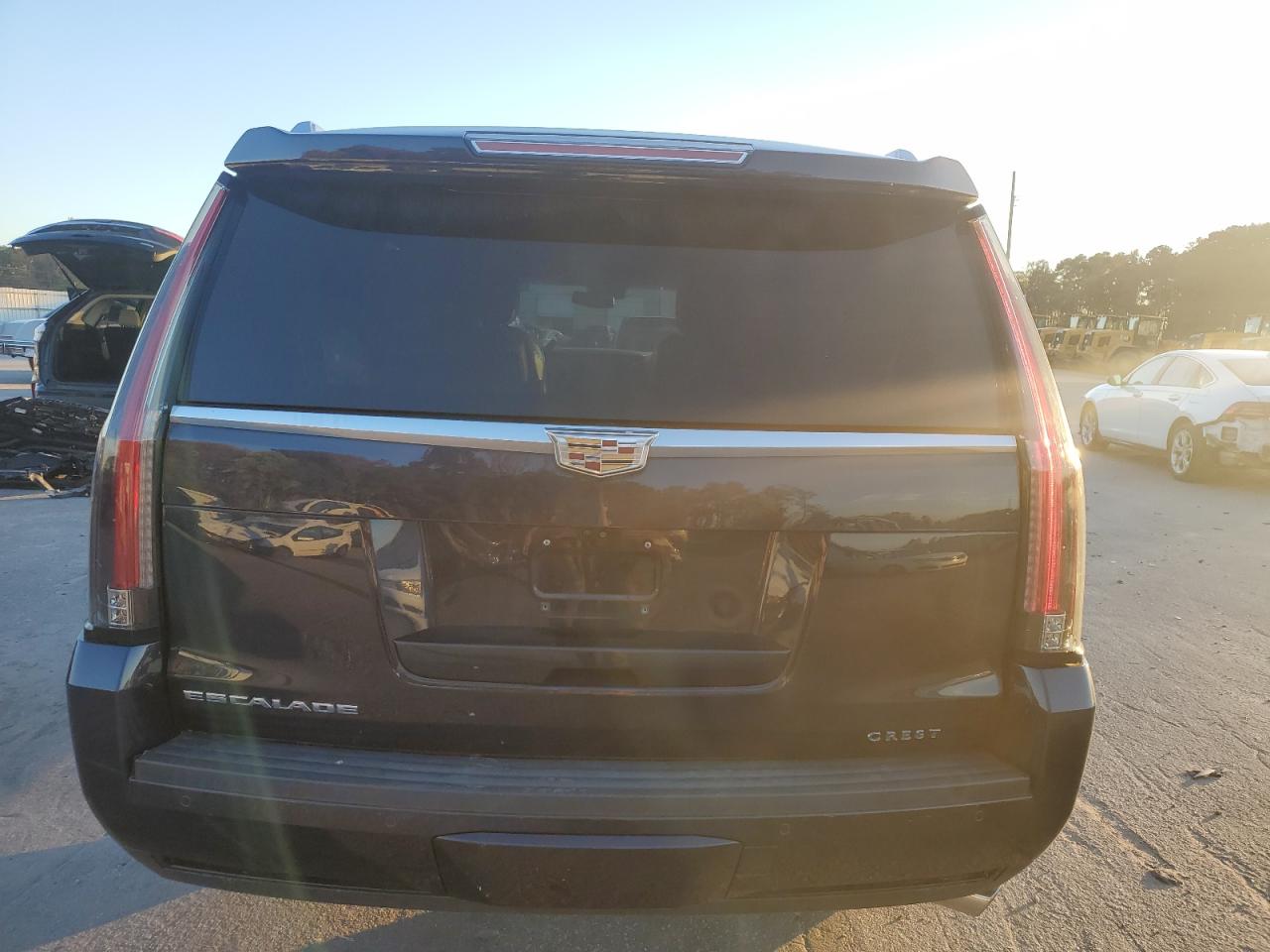 2017 Cadillac Escalade Platinum VIN: 1GYS4DKJ6HR149380 Lot: 82686685