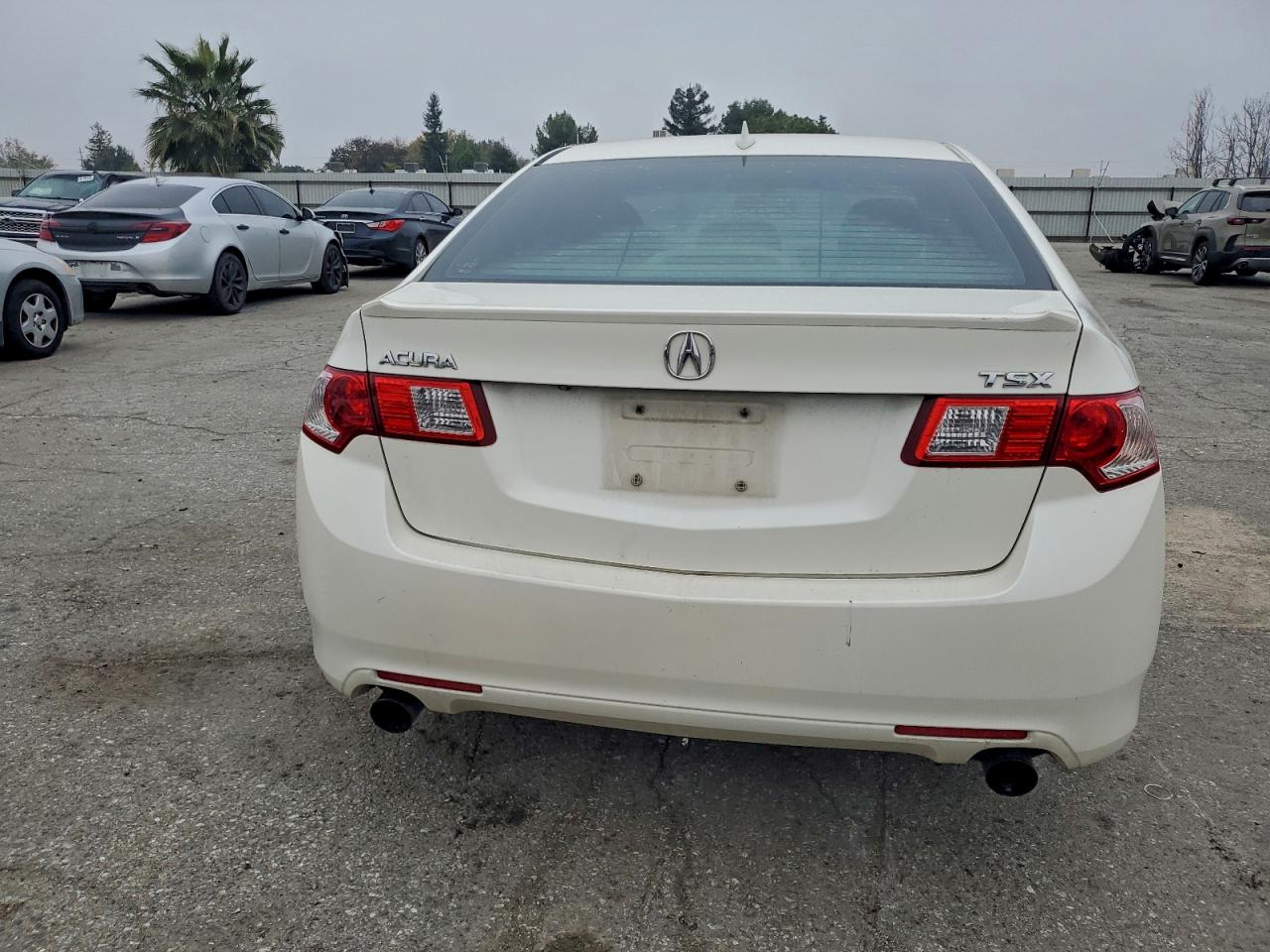 2009 Acura Tsx VIN: JH4CU26669C003729 Lot: 93876115