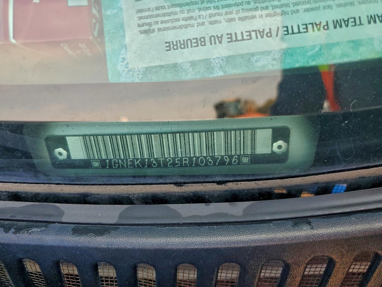 2005 Chevrolet Tahoe K1500 VIN: 1GNEK13T25R103796 Lot: 94169715