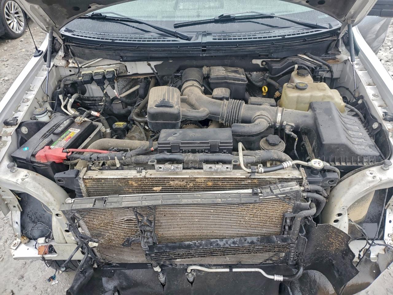 2010 Ford F150 Supercrew VIN: 1FTFW1EVXAFB96370 Lot: 93006415