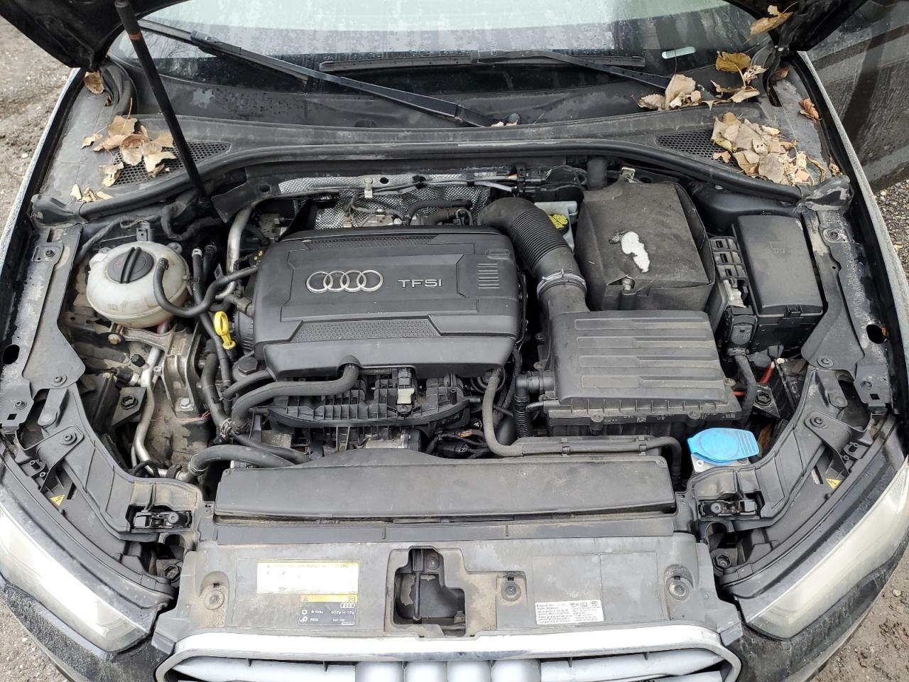 2015 Audi A3 Premium VIN: WAUACGFF4F1009185 Lot: 91160495