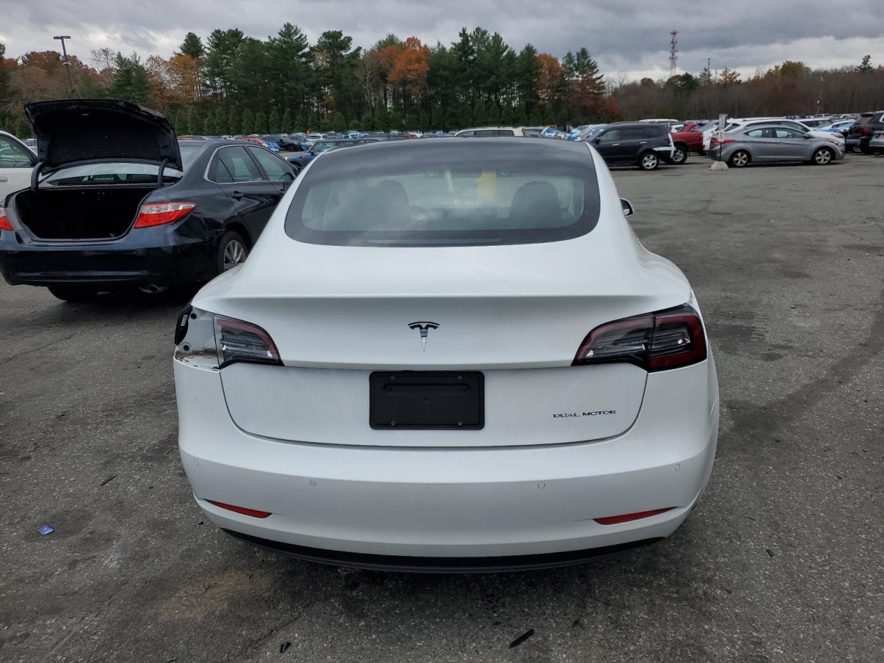 2020 Tesla Model 3 VIN: 5YJ3E1EBXLF667307 Lot: 90289005