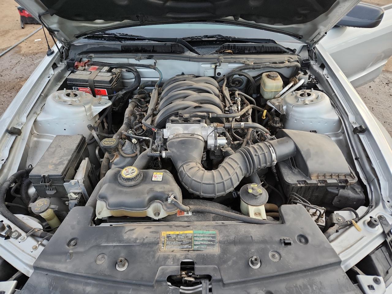 2006 Ford Mustang Gt VIN: 1ZVHT82H165128025 Lot: 92287325