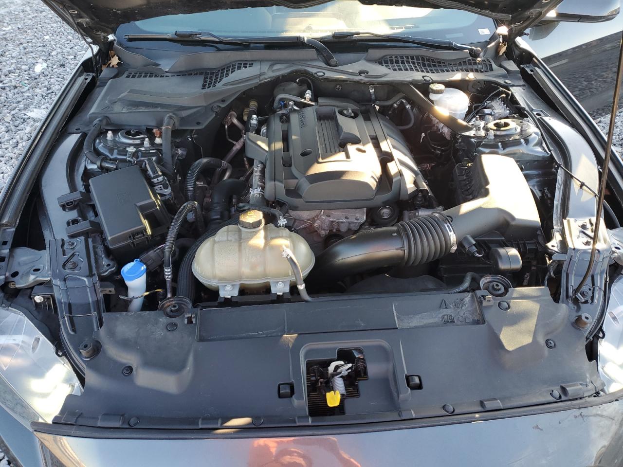 2020 Ford Mustang VIN: 1FATP8UH8L5184737 Lot: 92629315