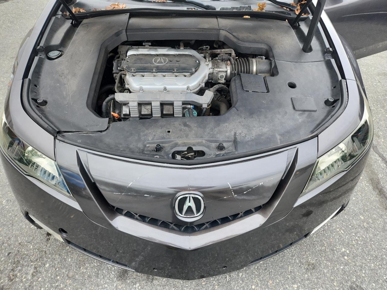 2009 Acura Tl VIN: 19UUA965X9A004510 Lot: 92157375