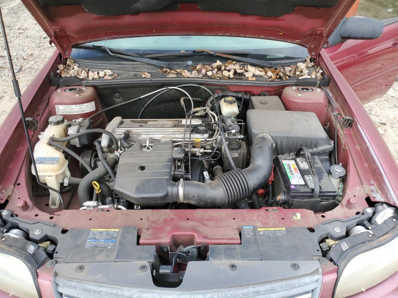 2005 Chevrolet Classic VIN: 1G1ND52F25M193849 Lot: 91772675