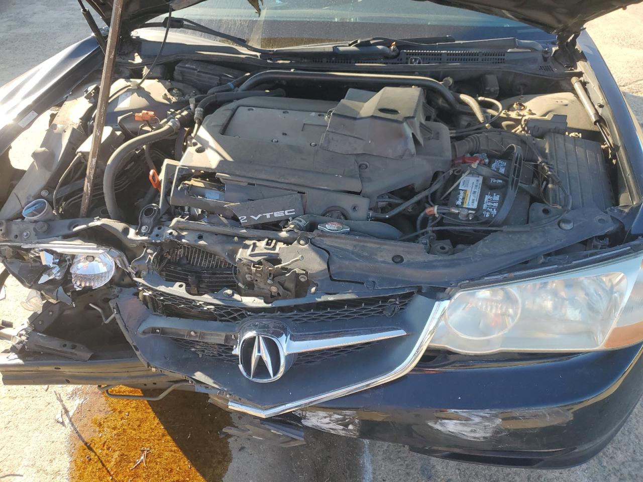 2002 Acura 3.2Tl VIN: 19UUA56652A056246 Lot: 93039505
