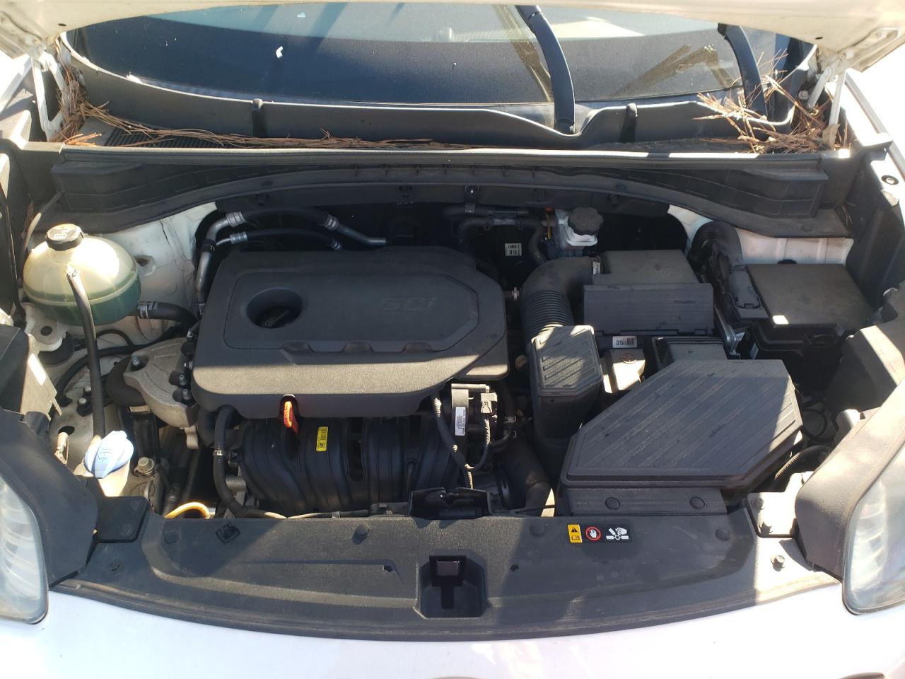 2017 Kia Sportage Lx VIN: KNDPM3AC0H7295889 Lot: 91229965