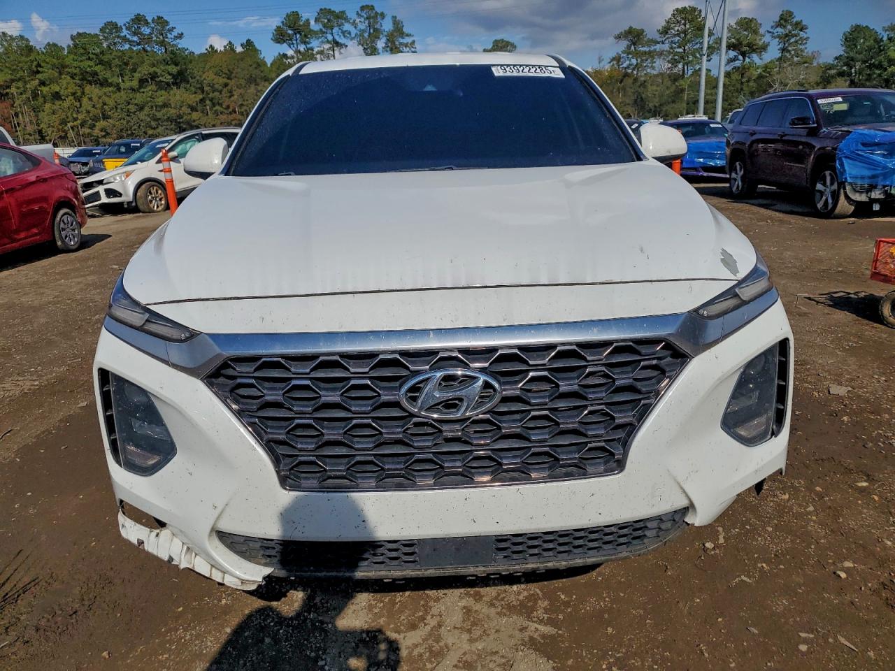 2020 Hyundai Santa Fe Sel VIN: 5NMS3CAD5LH271319 Lot: 93922285