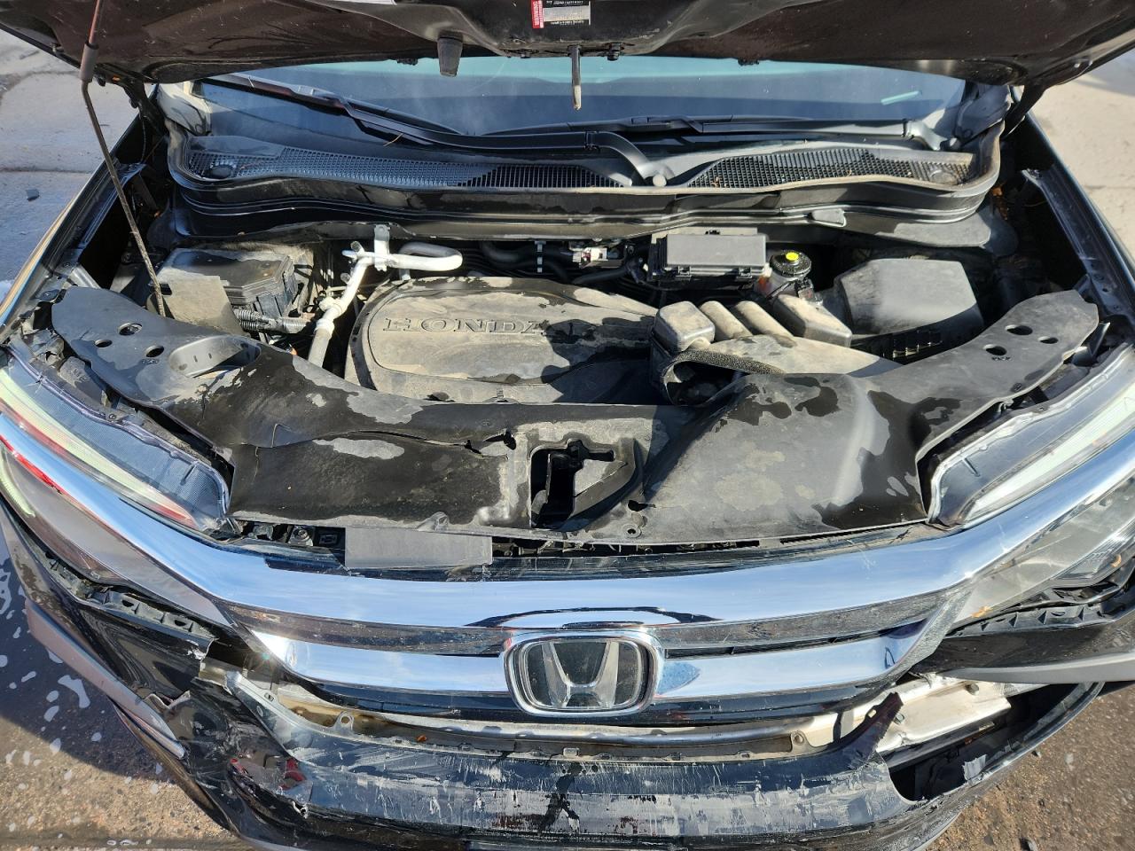 2022 Honda Pilot Elite VIN: 5FNYF6H05NB037627 Lot: 91024225