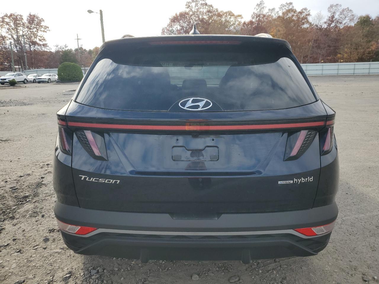 2024 Hyundai Tucson Sel Convenience VIN: KM8JCCD10RU216125 Lot: 91184585